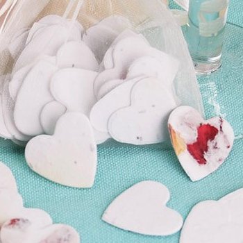 Eco-Friendly Wedding Favours - Plantable Heart Shaped Confetti