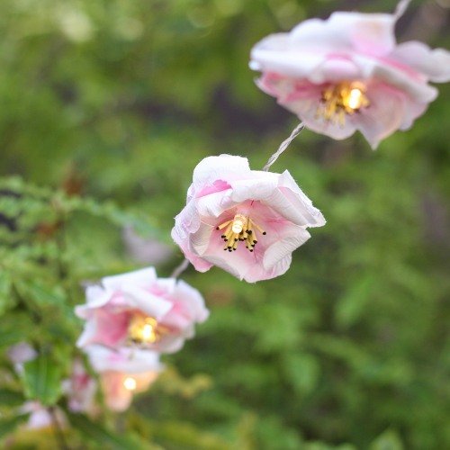 Enchanted Garden Wedding Theme Flower Blossom String Lights
