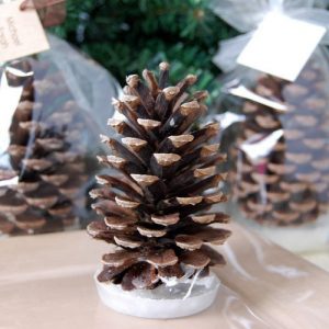 Winter Themed Wedding Favors – Elegant Wedding Ideas