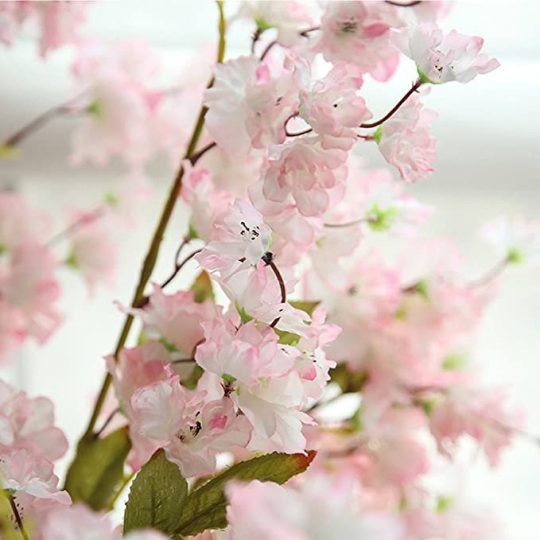 Cherry Blossom Wedding Theme Elegant Wedding Ideas