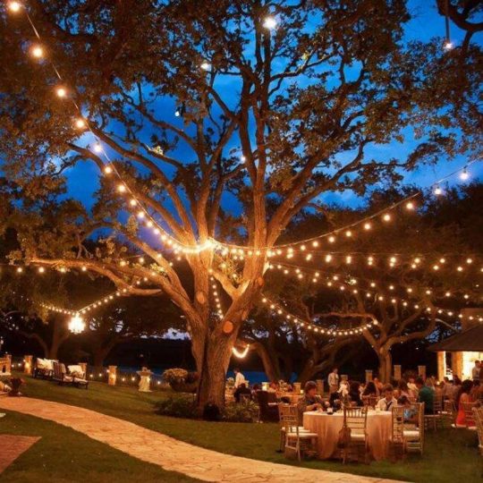 Backyard Wedding Decor – Elegant Wedding Ideas