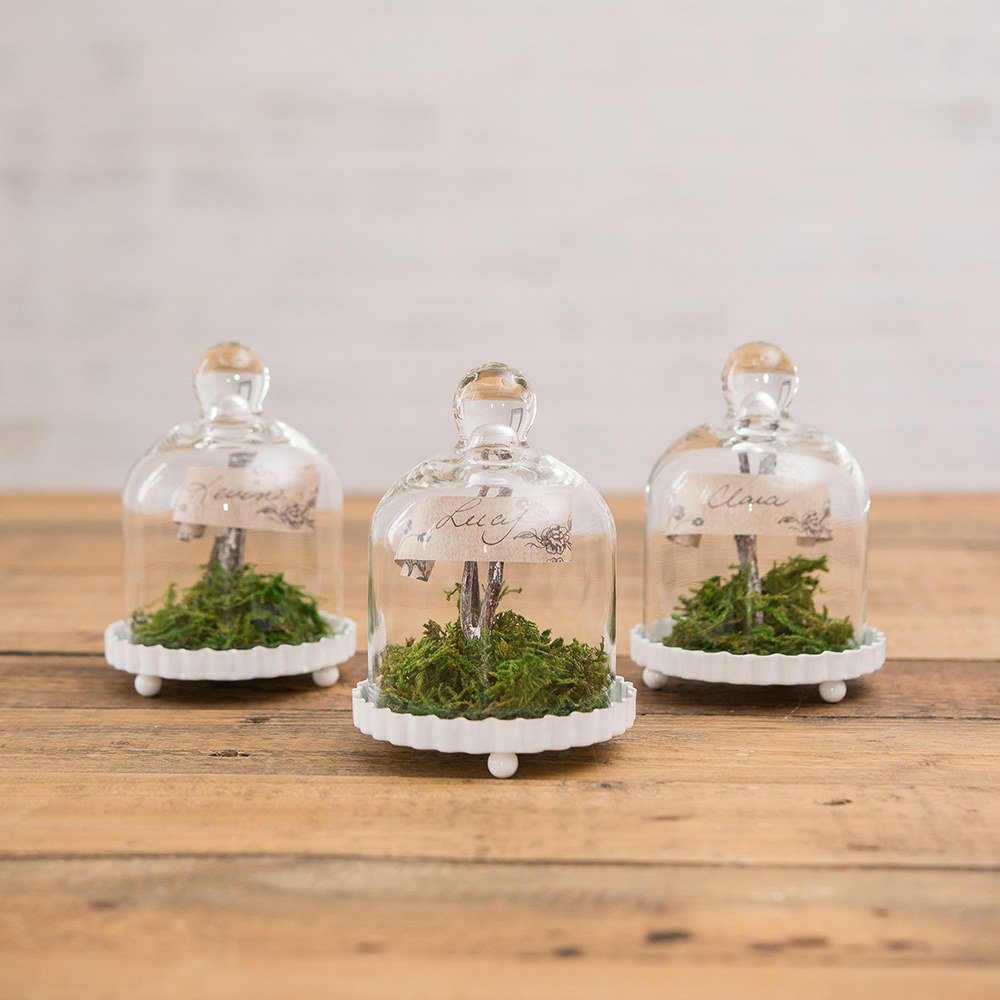 Mini Glass Bell Jars with white base all-white-wedding-decor