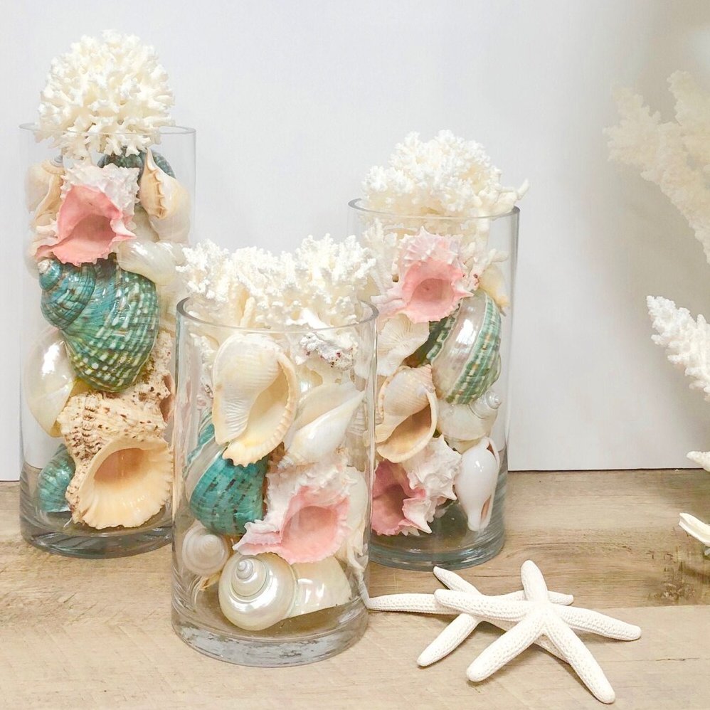 Seashell & Starfish Destination Beach Wedding 