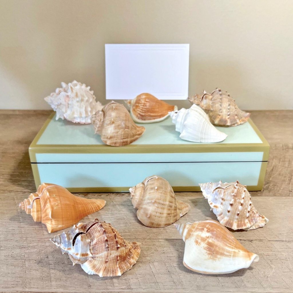 Seaside Serenity: A Coastal Grandmother Celebration - Real Seashell Place Card Holders